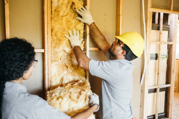 Stagecoach, NV Insulation Contractor Company