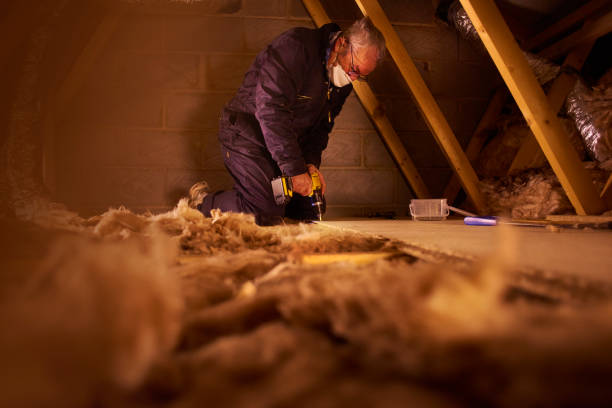 Insulation Replacement Services in Stagecoach, NV