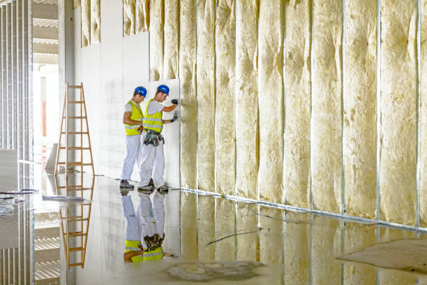 Best Spray Foam Insulation  in Stagecoach, NV